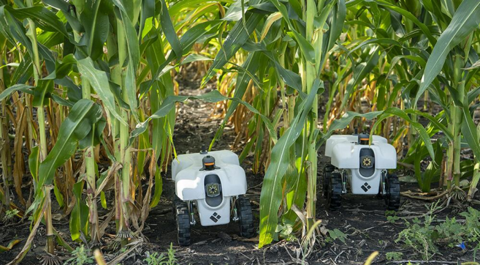 U Of Illinois Researchers Develop Digital Tools For Agriculture To Be More Environmentally Sustainable