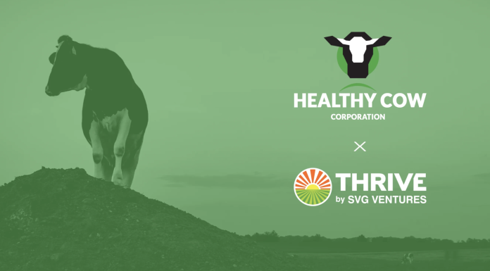 Healthy Cow Accepted to the Award-Winning THRIVE Accelerator Program!