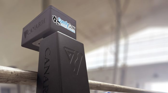 Smarter Cooling at the Bunk: Managing Heat Stress in Modern Dairy Barns