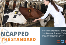 Uncapped Is the Standard—So Candidates Expect It