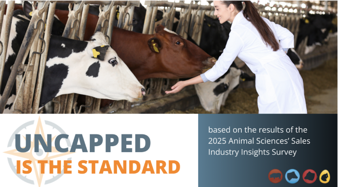 Uncapped Is the Standard—So Candidates Expect It