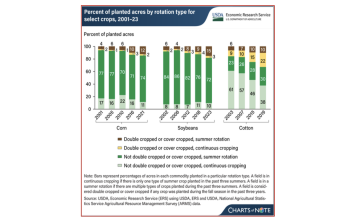 Cover Crops And Double Cropping Play Expanded Role In Commodity Crop Rotations